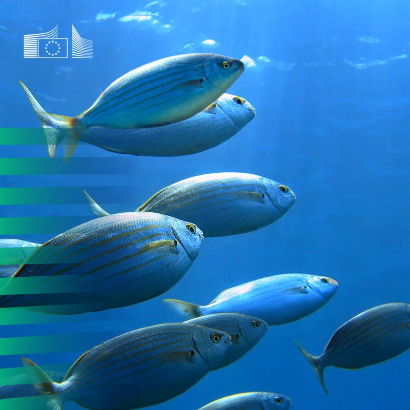 EU Commission adopts European Ocean Pact for a healthy ocean, a ...