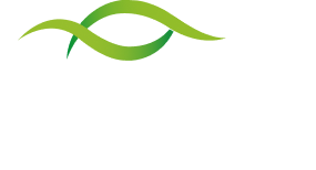 BIM logo