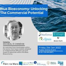 BlueBioeconomy_Commercial Potential