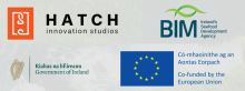 Logos for Hatch, BIM, Gov. of Ireland & EU