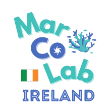 MarCoLab event Ireland