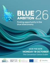 Blue ambition banner