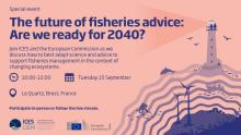 The future of fisheries advice: Are we ready for 2040? banner