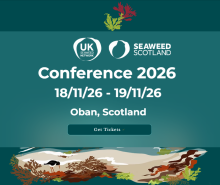 Seaweed scotland banner
