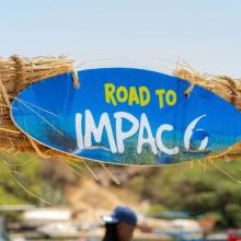 IMPAC6 graphic